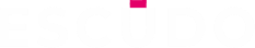 Logo Footer